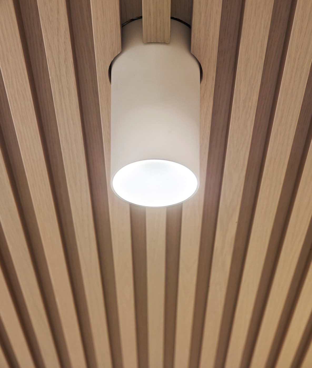 Slatted light timber ceiling detail with integrated cylindrical white downlight fixture