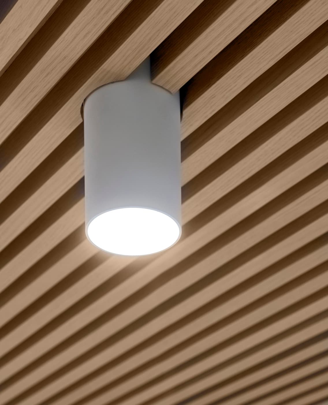 Interior ceiling detail featuring a cylindrical downlight integrated into slatted oak-toned timber panelling
