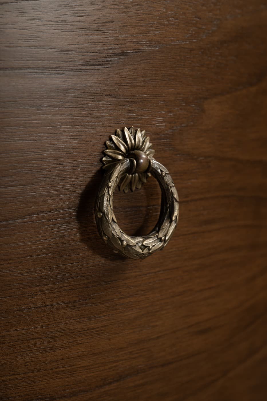 Cabinet detail with ornate metallic ring pull hardware set against dark-toned timber millwork